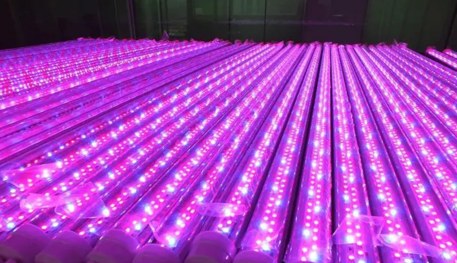 Market Analysis of China's LED Plant Lighting Industry in 2023